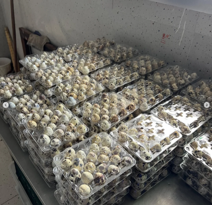 Аудан әкімі А.Шуиншалиев Қарақұдық ауылдық округі Тікқайың ауылындағы бөдене құсын ұстап жұмыртқасын өндіріп отырған жеке кәсіпкер "Гулшат" (Нуралина Гулшат Елубаевна) жұмысымен танысты