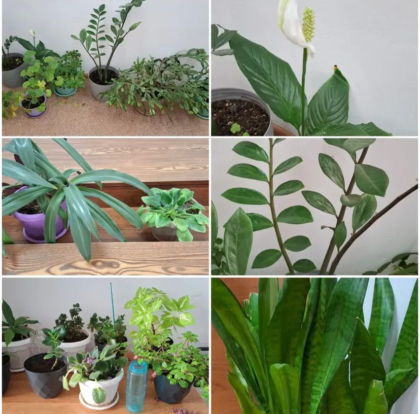 Лагерьде ЭКОБҰРЫШ ашылды!