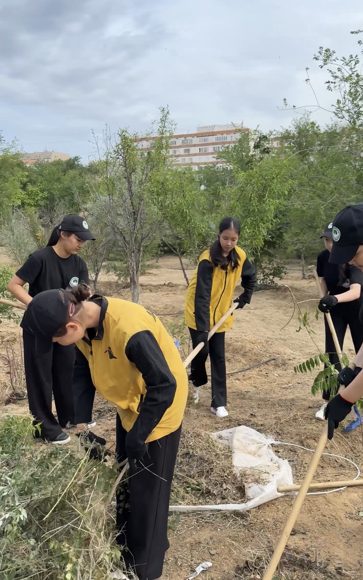 🌿«Жасыл ел» жастары «Бекет ата» орталық мешітінің ауласында тазалық жұмыстарын жүргізуде