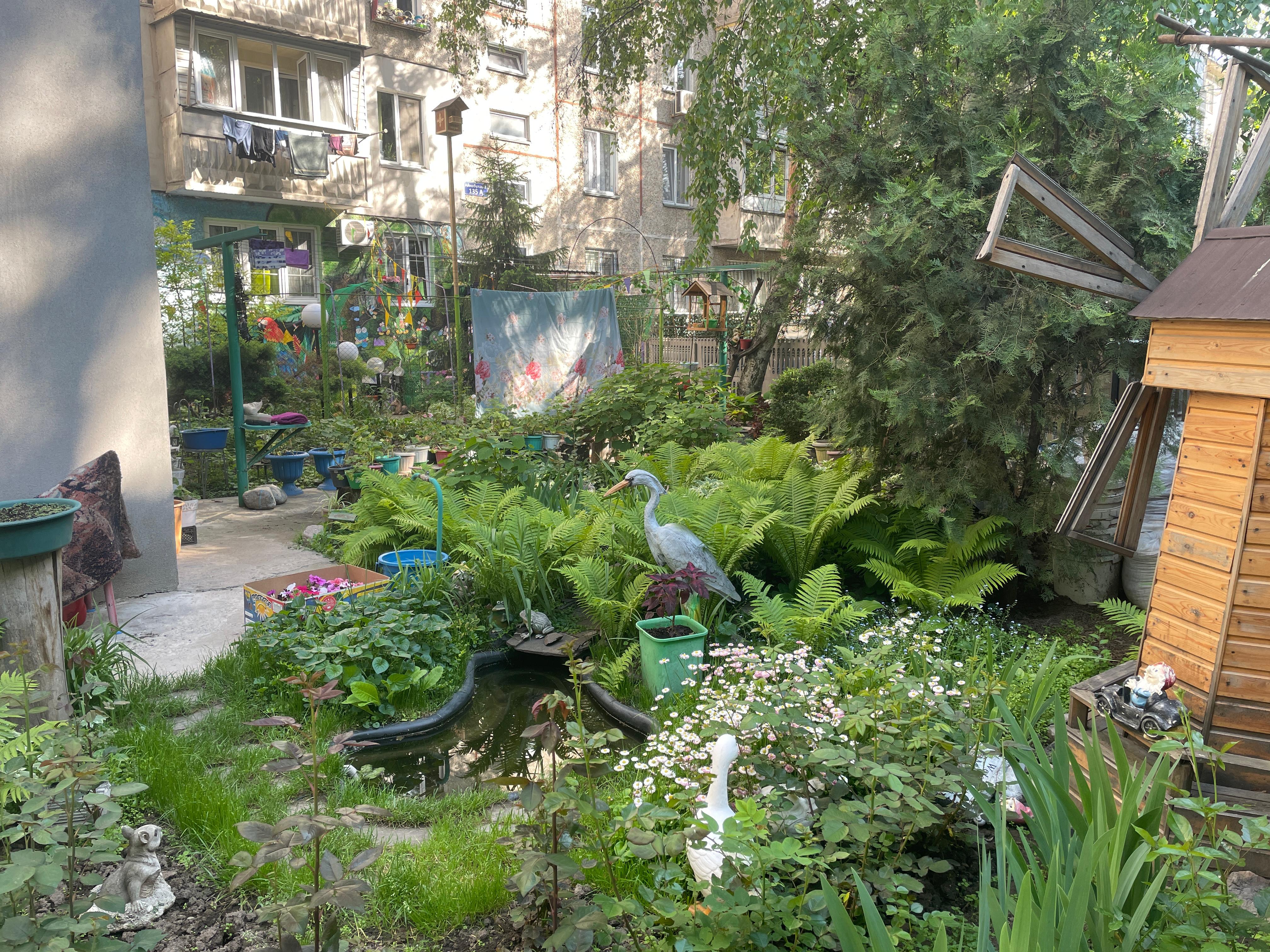 "Чистый двор - чистый город/район"