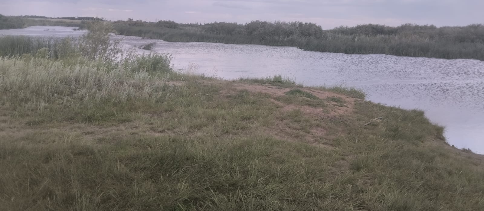 «Таза жағалау» Республикалық акциясы