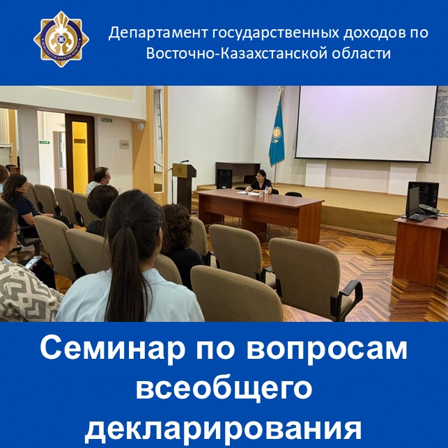Жалпыға бірдей декларациялау мәселелері бойынша семинар