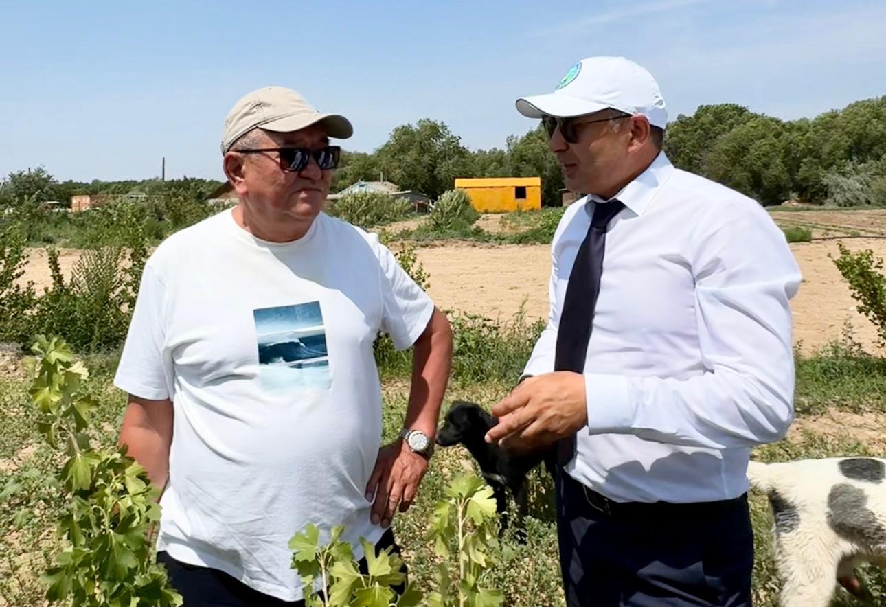 Шаруаларға мемлекеттік қолдау көрсету қажет – Асхат Бердіханов