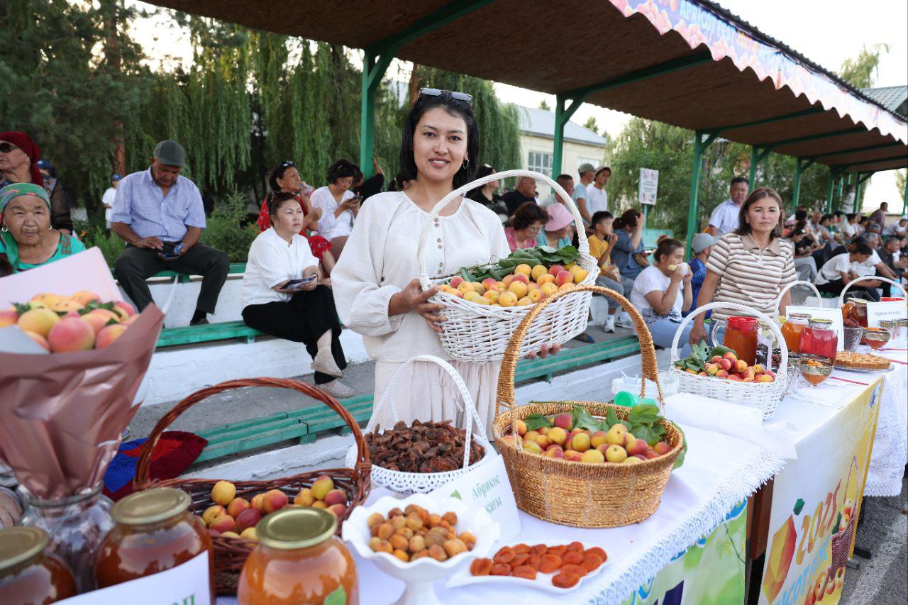 Абрикосовый бум: в Алматинской области впервые прошёл Apricot Fest
