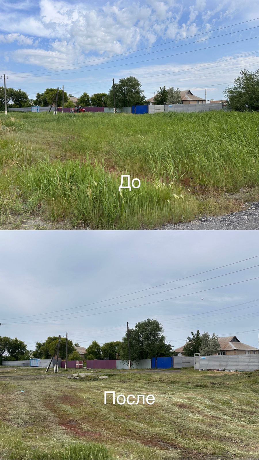 Ұзынкөл ауылында арамшөптерді шабу.