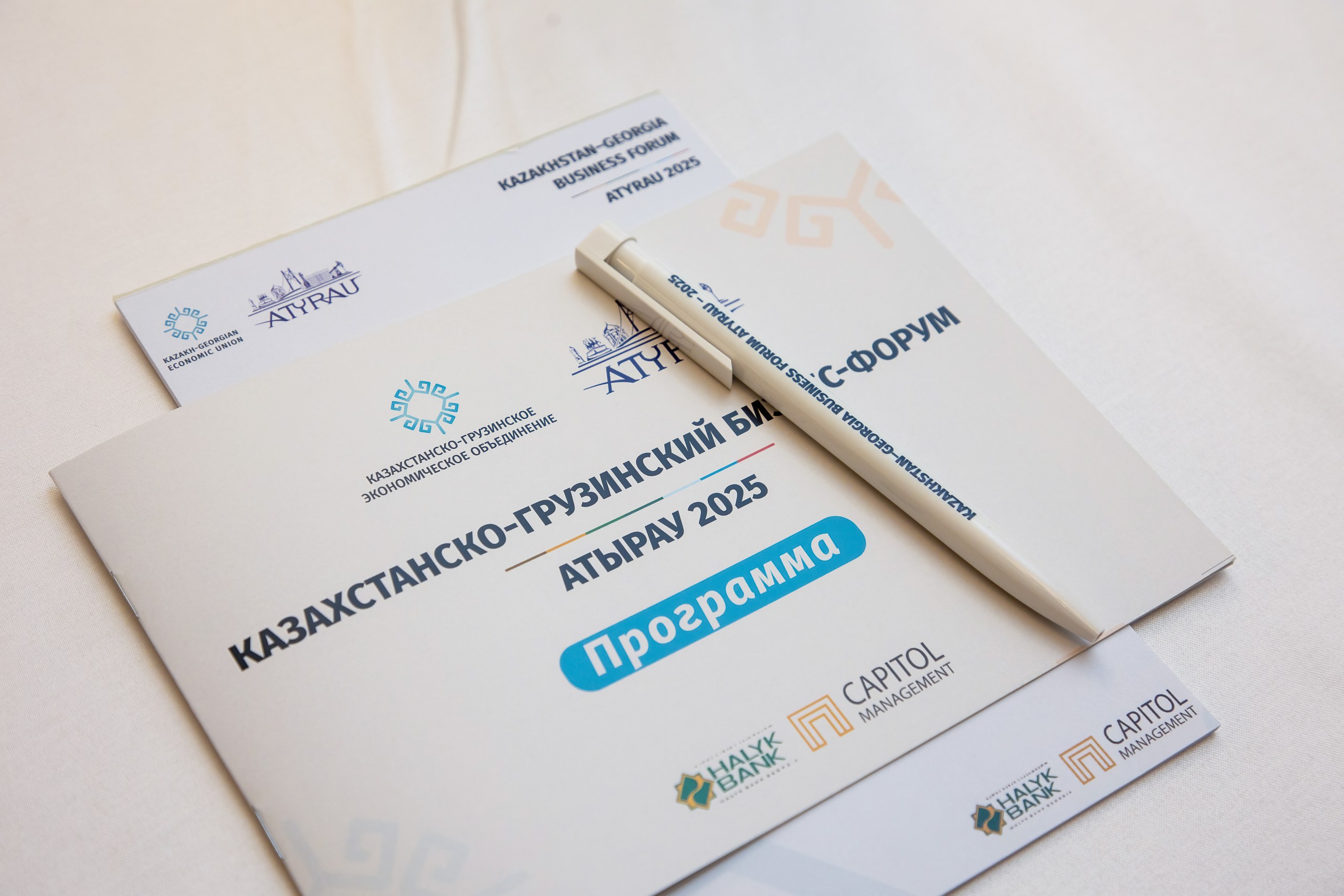 ГРУЗИН КӘСІПКЕРЛЕРІ ҚАЗАҚСТАНҒА ИНВЕСТИЦИЯ САЛУҒА МҮДДЕЛІ