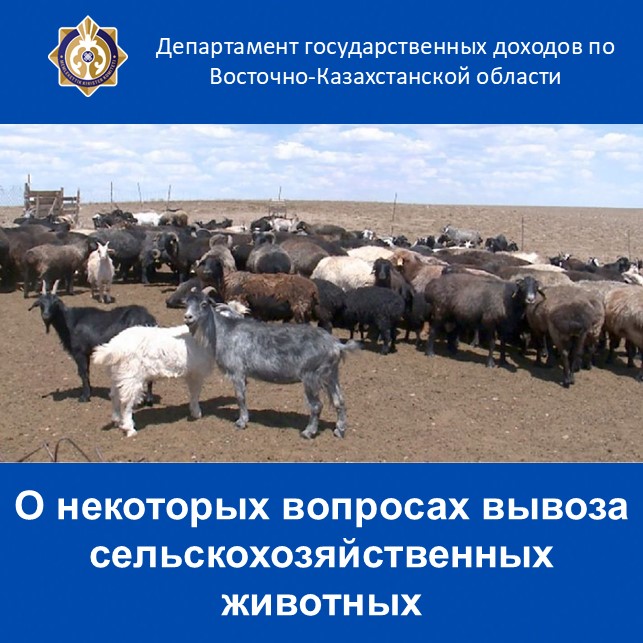 О некоторых вопросах вывоза сельскохозяйственных животных