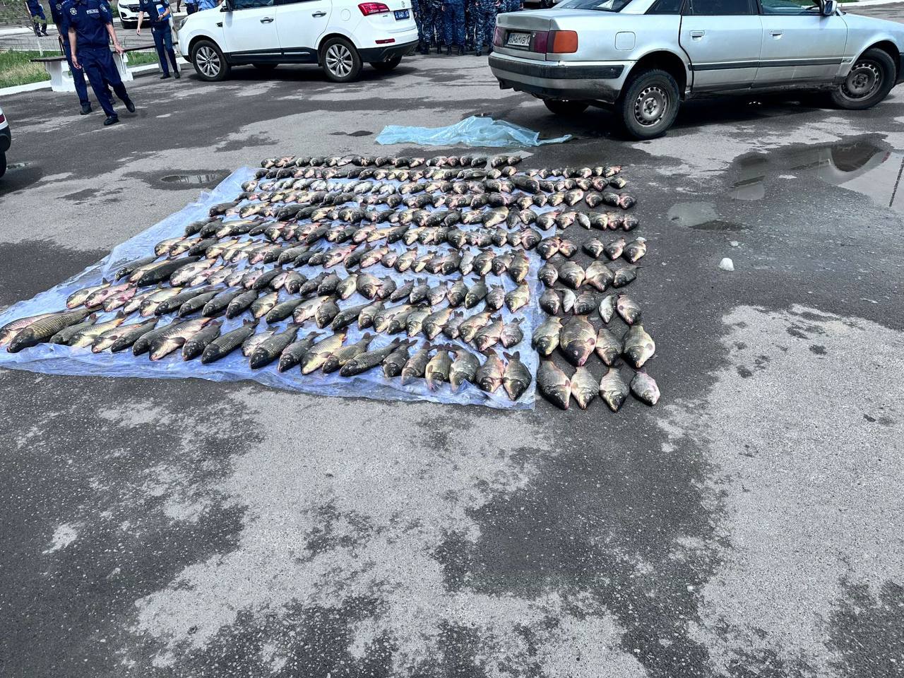 Пресечена деятельность преступной группы в сфере браконьерства
