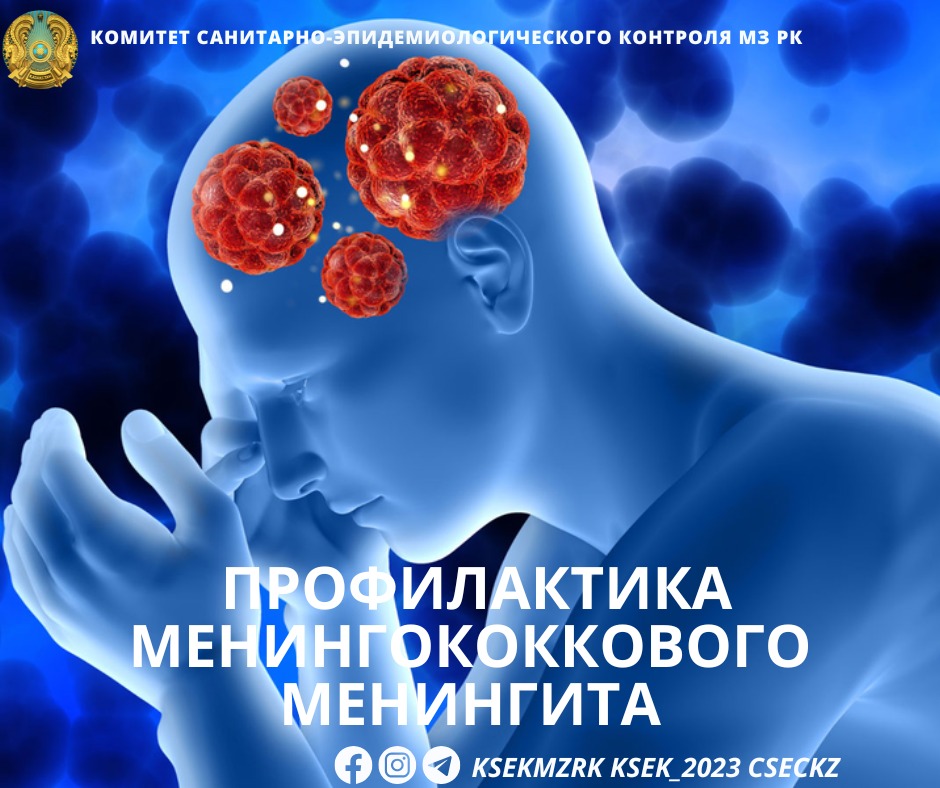 Профилактика менингококкового менингита