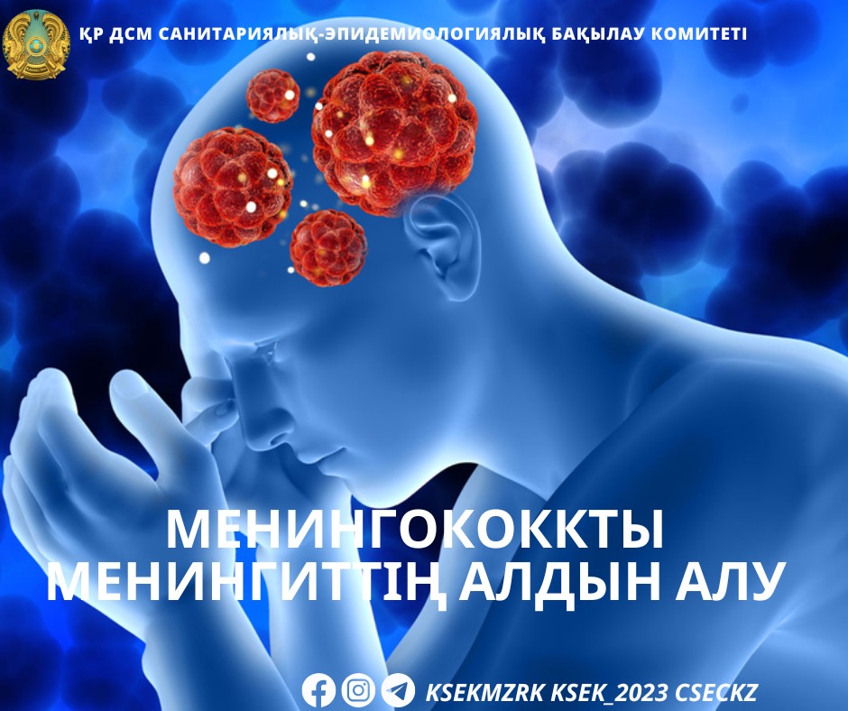 Менингококкты менингиттің алдын алу
