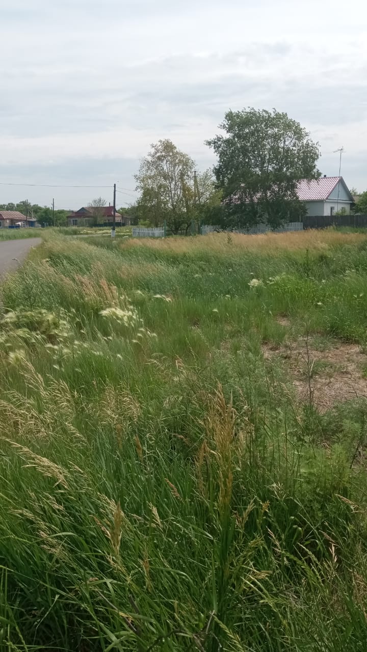 Таза Қазақстан