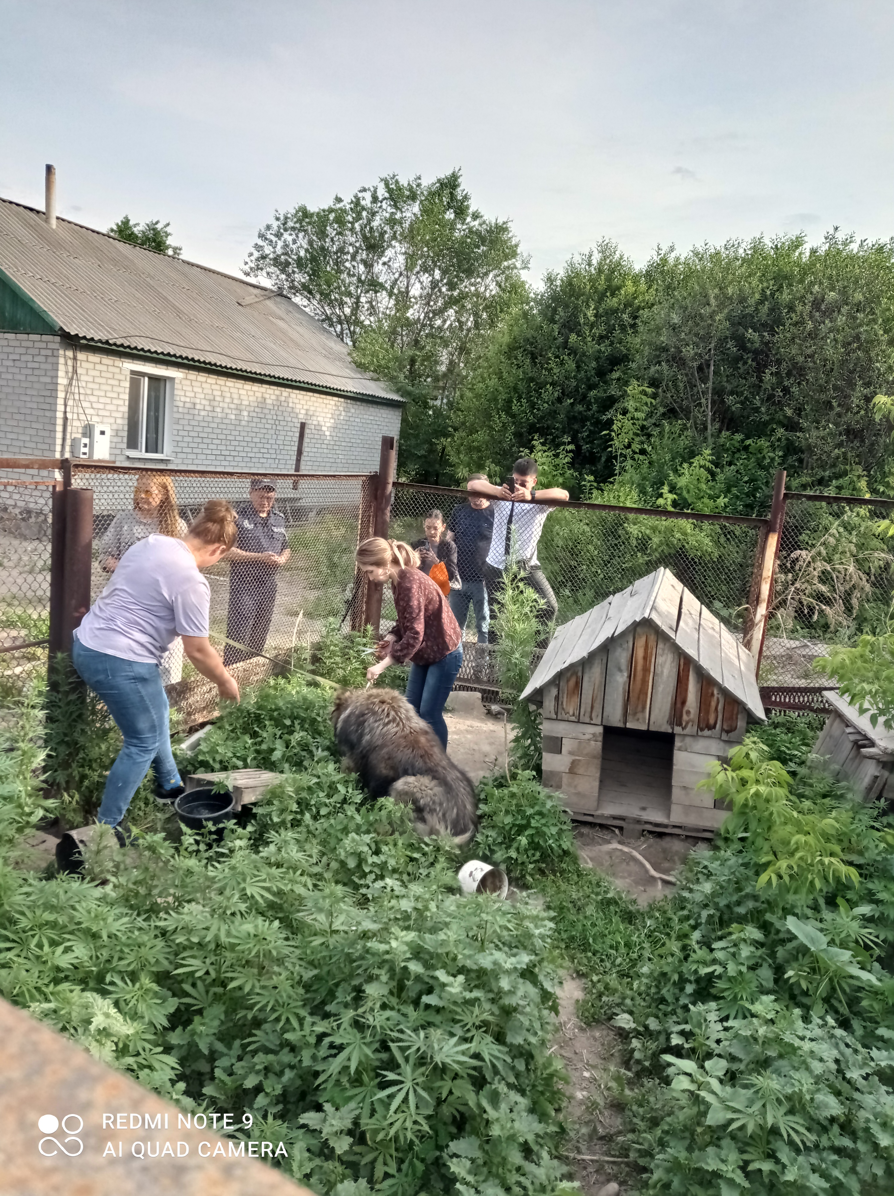 Қараусыз жануарларды аулау және ұстау бойынша тиімді шараларды әзірлеу үшін жұмыс тобының ұсынымдарының қорытындысы бойынша