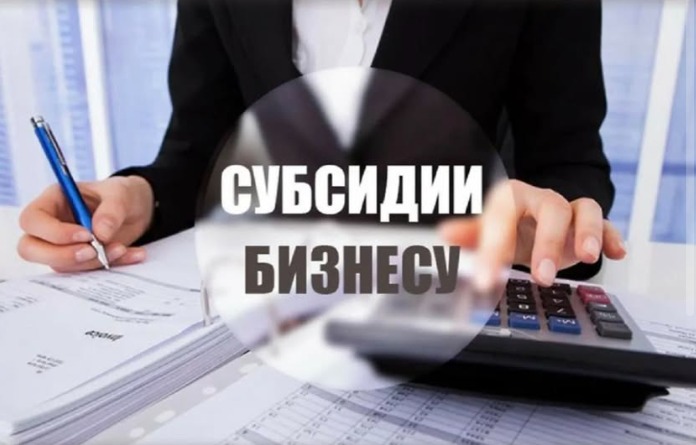 В Казахстане обновили правила субсидирования бизнеса!