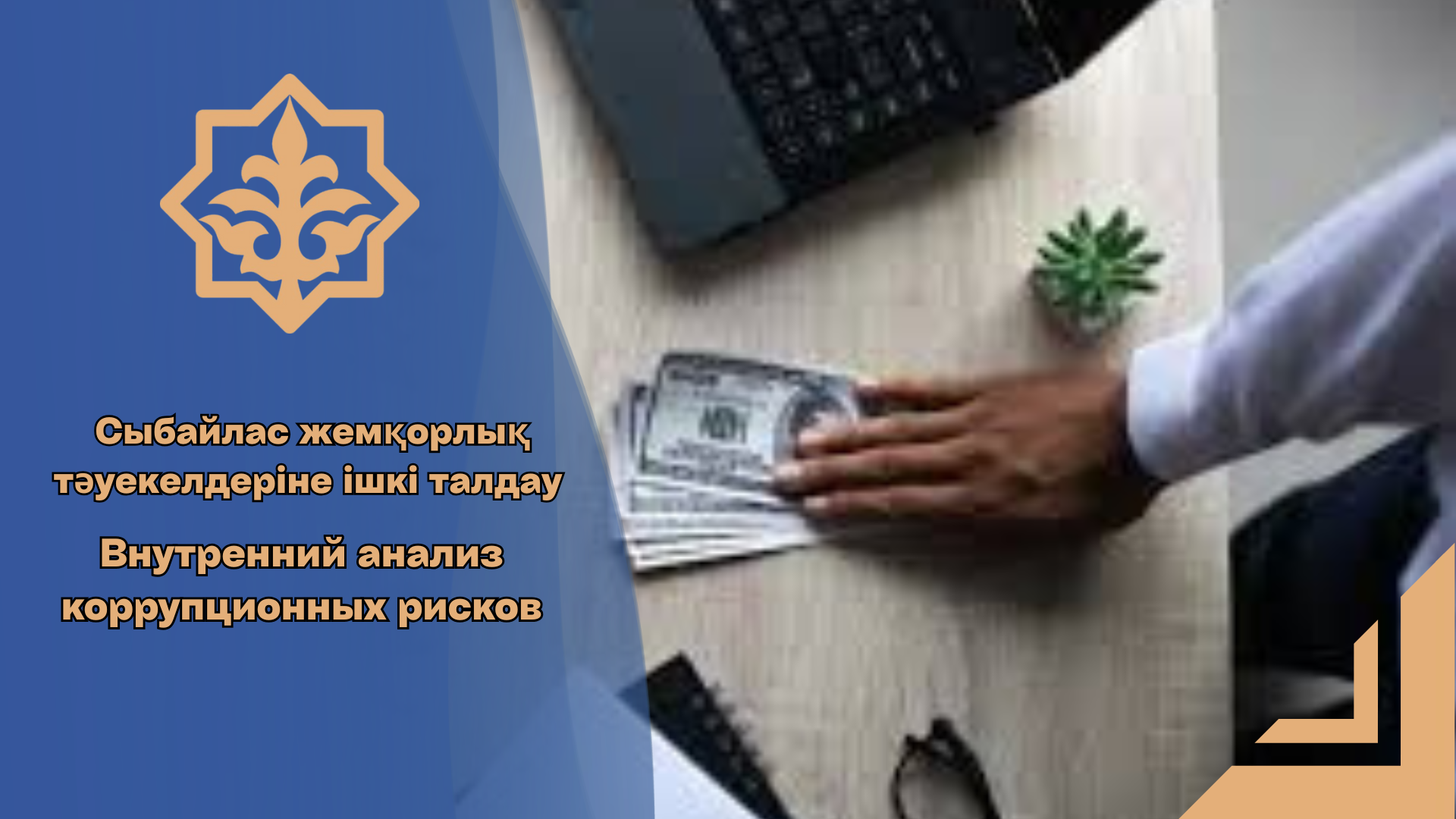 Сыбайлас жемқорлық тәуекелдеріне ішкі талдау