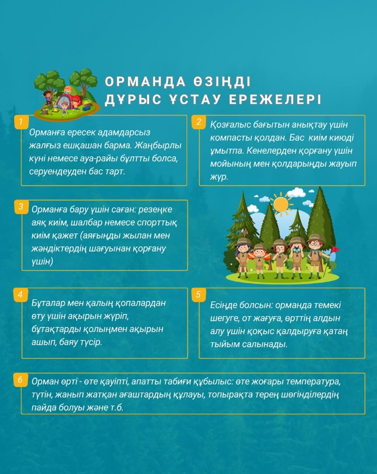 Орманда өзіңді дұрыс ұстау ережелері