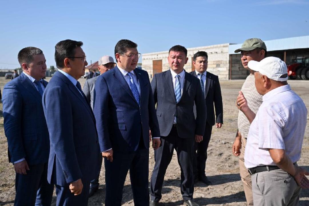 Аким области ознакомился с деятельностью крестьянского хозяйства «Ағайындар»