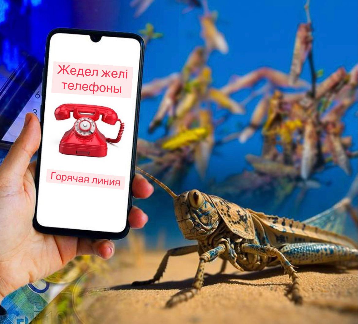 БЕЙІМБЕТ МАЙЛИН АУДАНЫНЫҢ АУЫЛДЫҚ ОКРУГТЕР ӘКІМДІКТЕРІНІҢ, ХАЛЫҚТЫҢ ЖӘНЕ БАРЛЫҚ МЕНШІК НЫСАНЫНДАҒЫ АУЫЛ ШАРУАШЫЛЫҒЫ ТАУАР ӨНДІРУШІЛЕРІНІҢ НАЗАРЫНА!