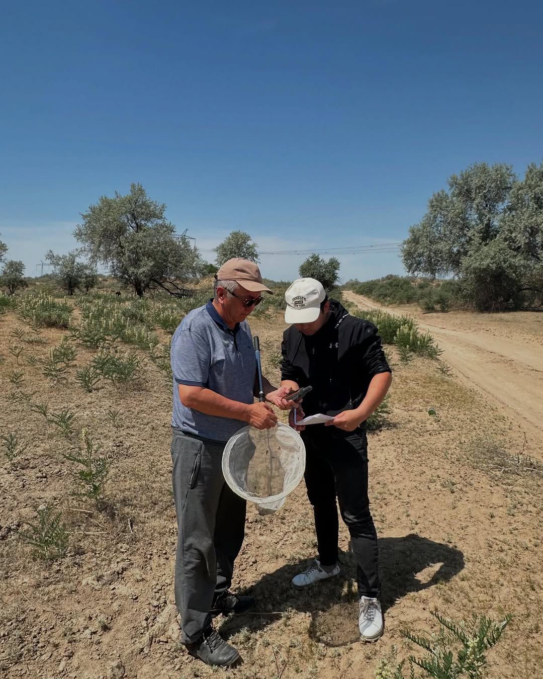 Мұқаншы ауылдық округінде шегіртке зиянкестеріне қарсы барлау жұмыстары жүргізілді