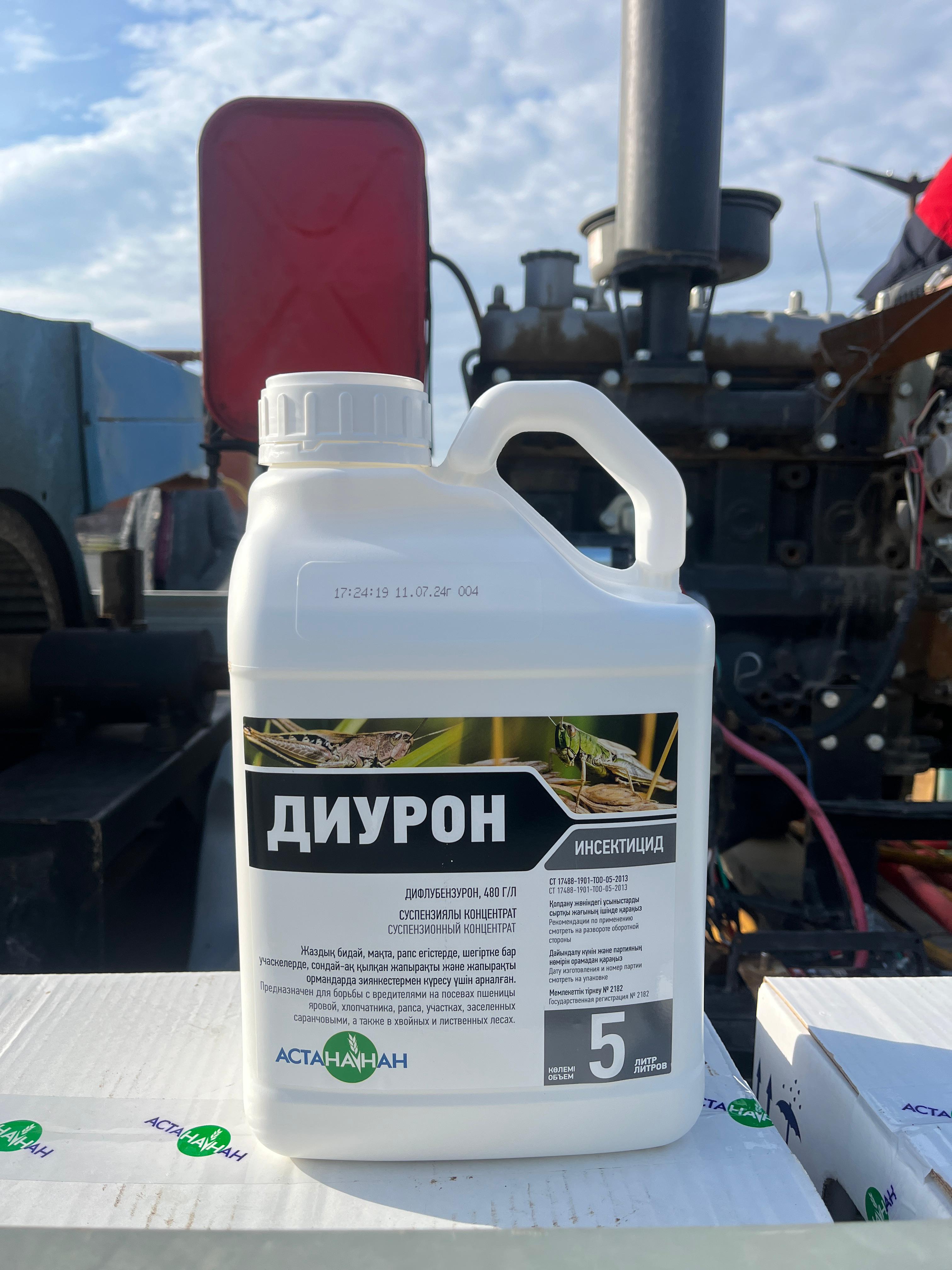 Екібастұз өңірінің Байет, Қоянды, Екібастұз, Теміржол ауылдық округтері мен Шиқылдақ ауылы және Шідерті кенті аумағында саяқ шегіртке зиянкестеріне қарсы 3370 гектар алқапта химиялық өңдеу жұмыстары жүргізілді.