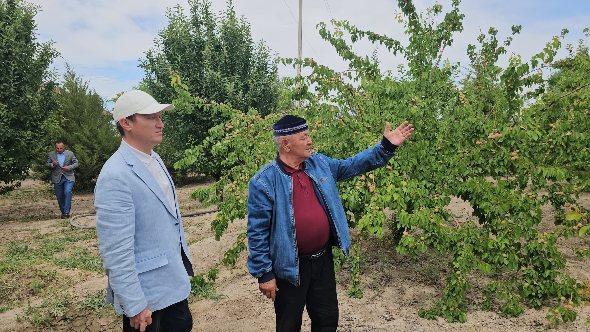 БАУ - БАҚША БАПТАП, БЕРЕКЕ ТАПҚАН