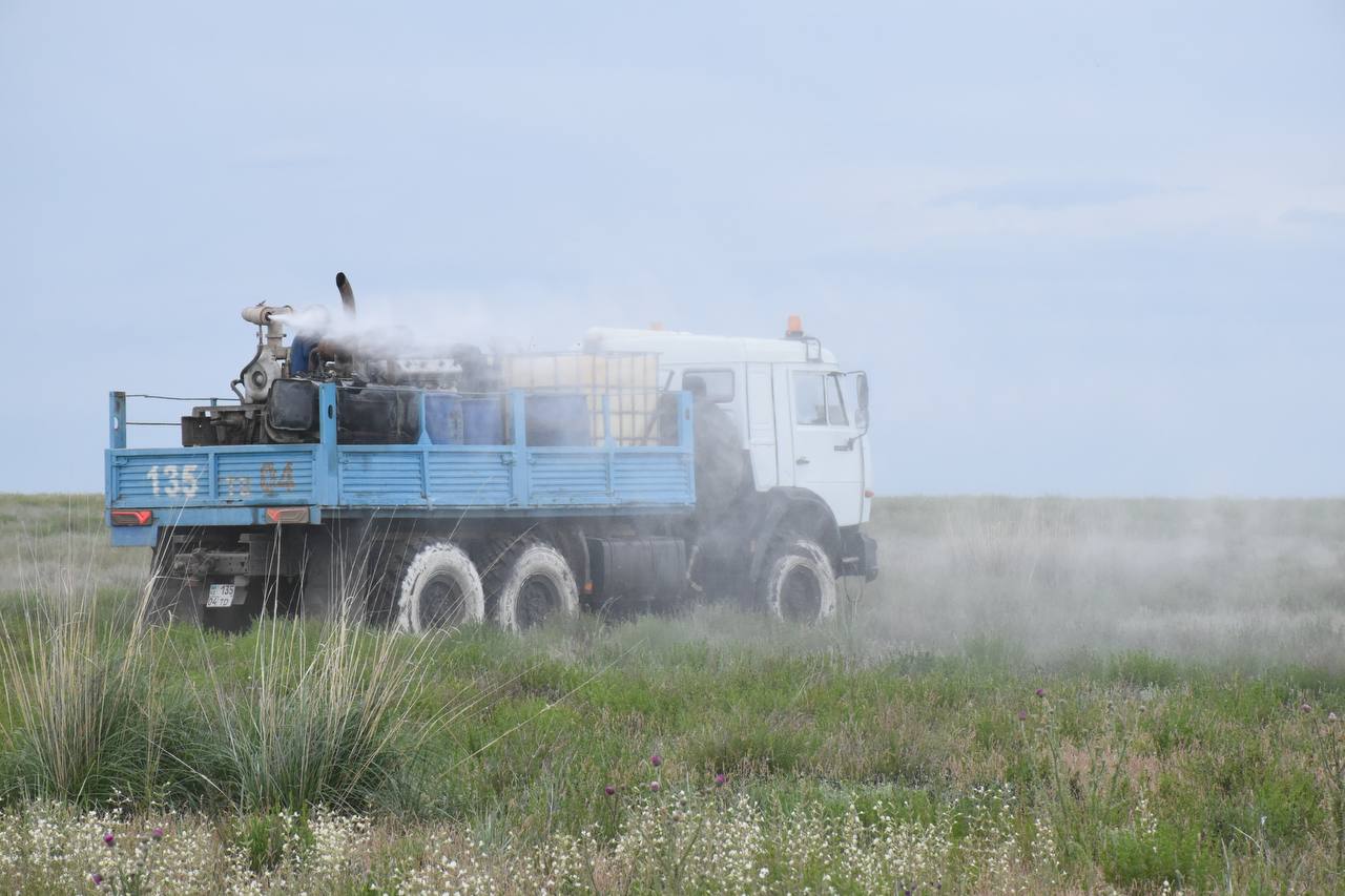 Ақтөбе облысында шегірткеге қарсы 151,2 мың гектар өңделді
