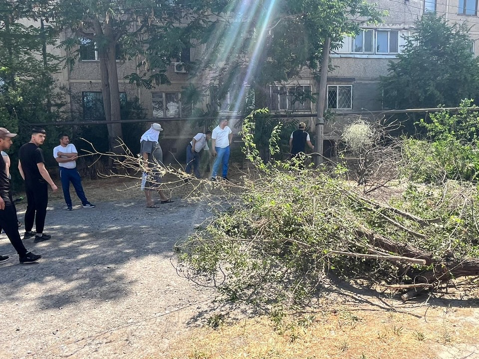 САЙРАМ АУДАНЫНДА АУҚЫМДЫ ТАЗАЛЫҚ ЖҰМЫСТАРЫ ҰЙЫМДАСТЫРЫЛДЫ