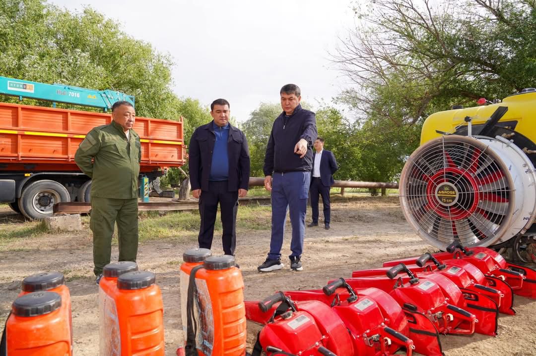 ТҮРКІСТАНДАҒЫ «ЖАСЫЛ БЕЛДЕУ» ЖАЙҚАЛЫП КЕЛЕДІ