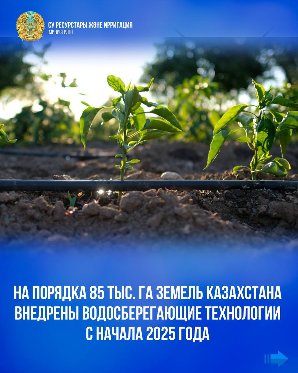 2025 жылдың басынан бері Қазақстанда шамамен 85 мың гектар жерге су үнемдеу технологиялары енгізілді