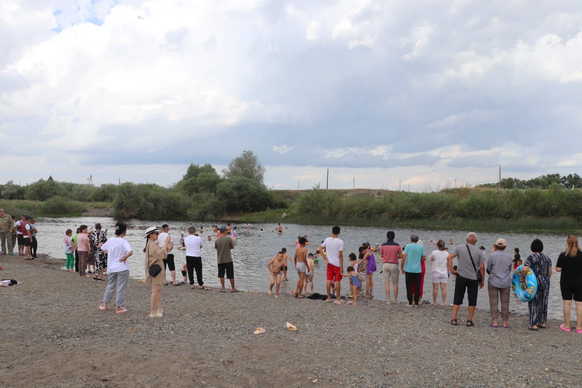 Супер әйел еркектің көзінше мысығын жайып жіберді.