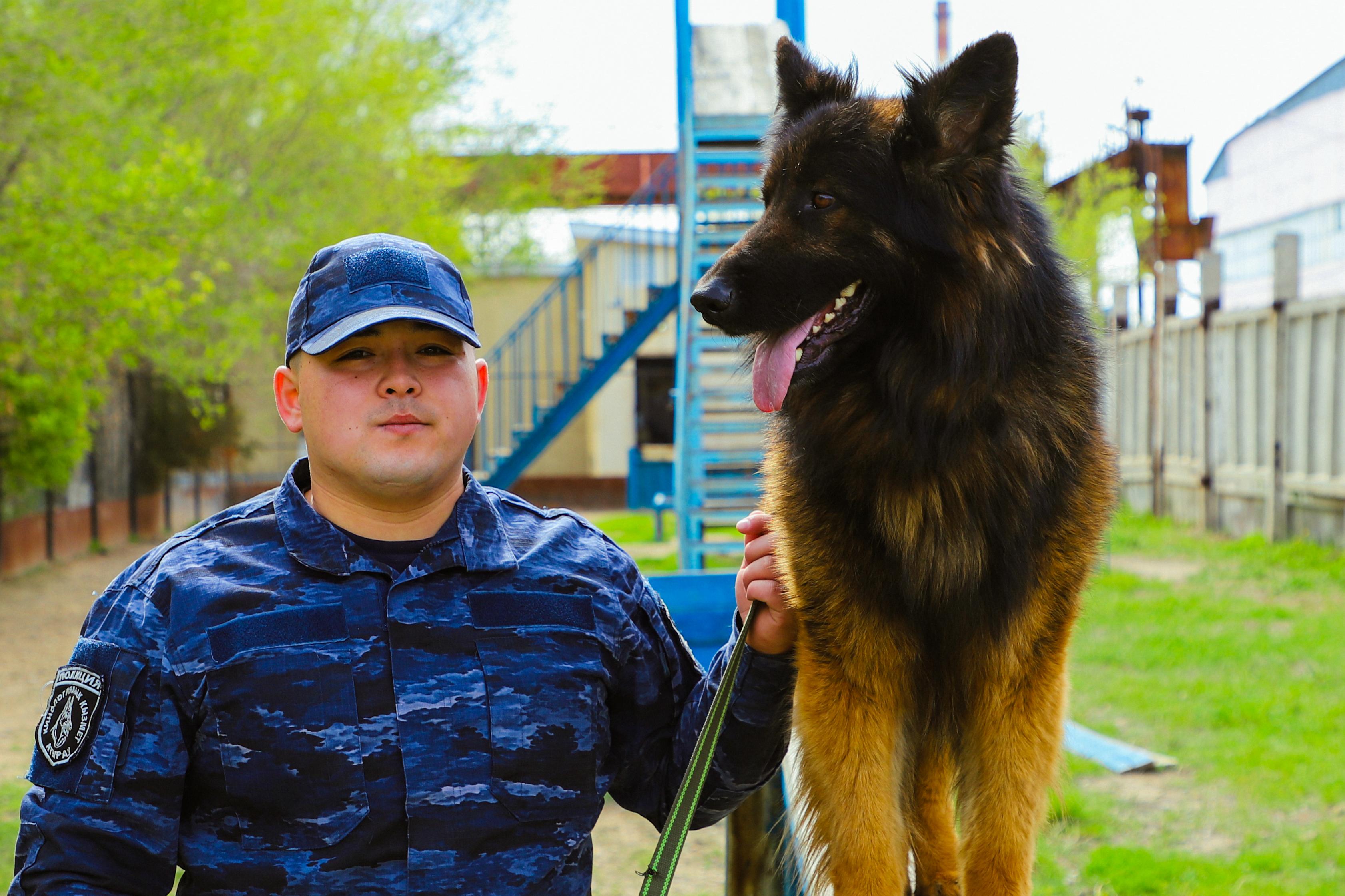 Қырағы серіктес: кинолог маманының бір күні