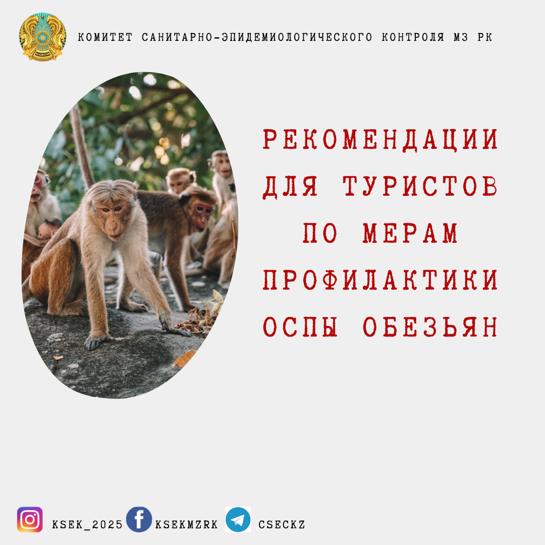 Рекомендации для туристов по мерам профилактики оспы обезьян