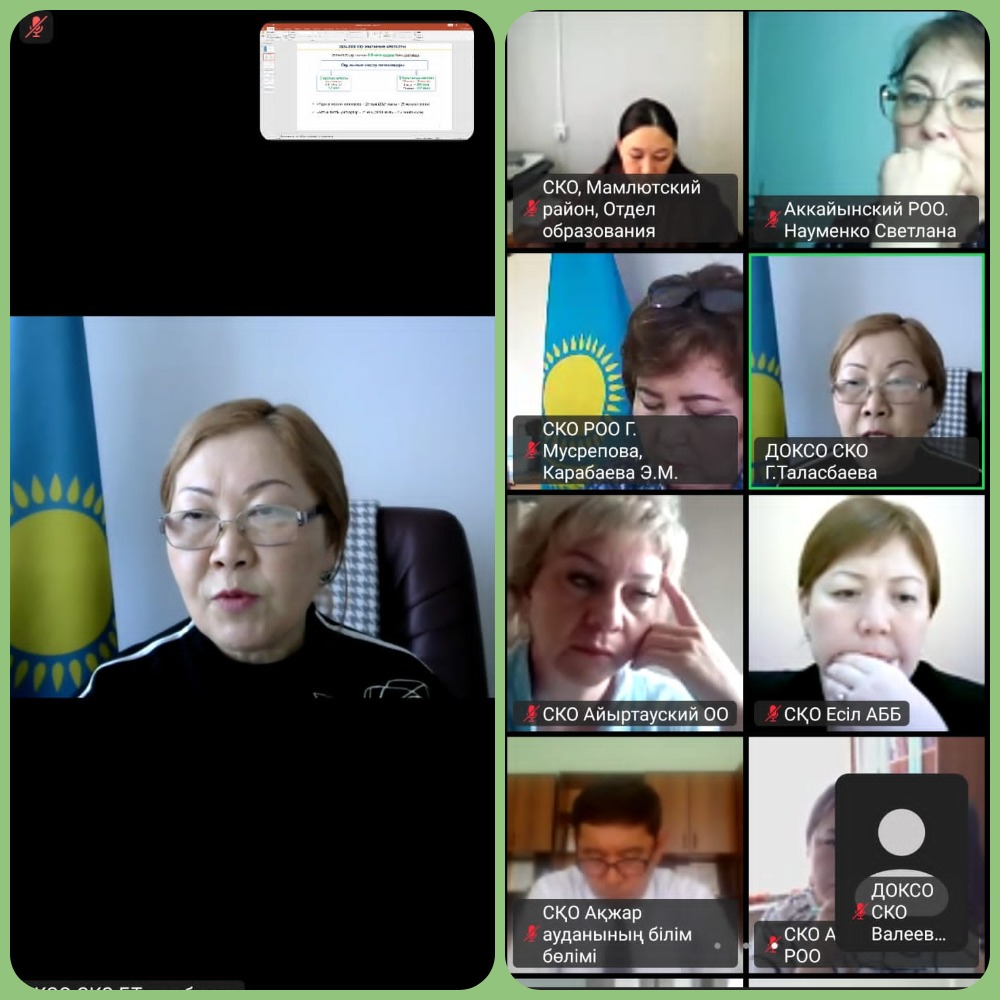 Қалалық, аудандық білім бөлімдерінің басшыларымен онлайн-кеңес