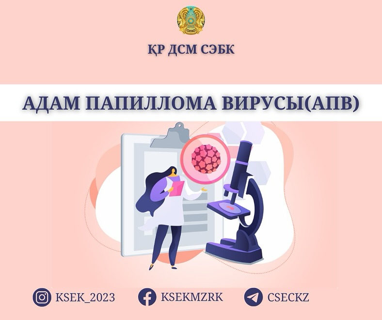 Адам папиллома вирусы