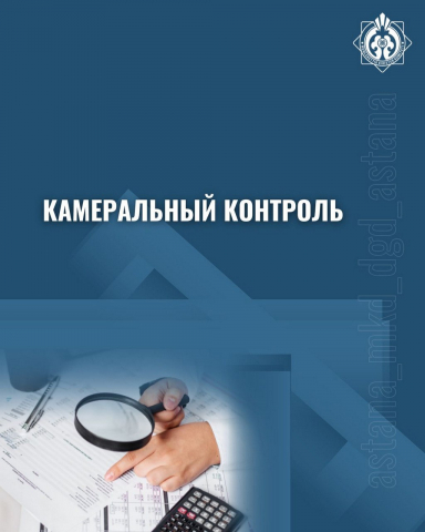 Камералдық бақылау