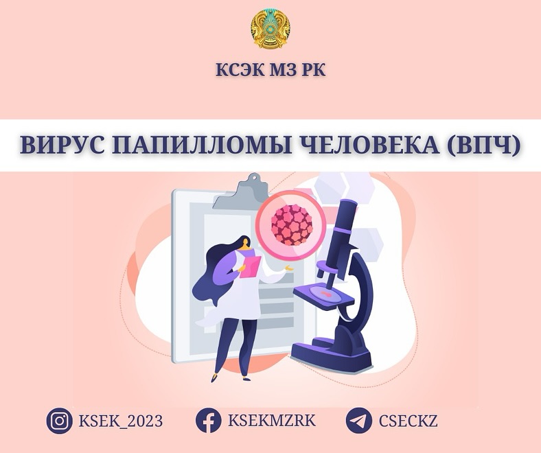 Вирус папилломы человека