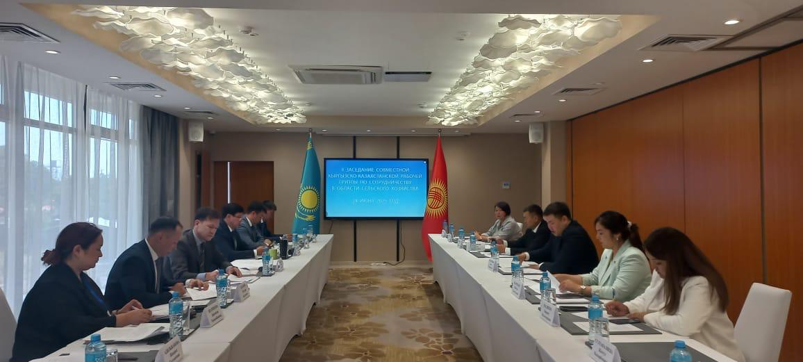 Казахстан и Кыргызстан активизируют приграничную торговлю агропродукцией