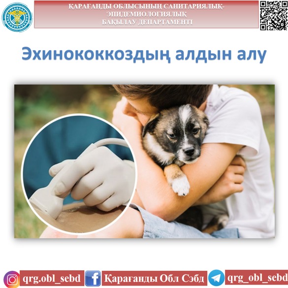 Эхинококкоздың алдын алу