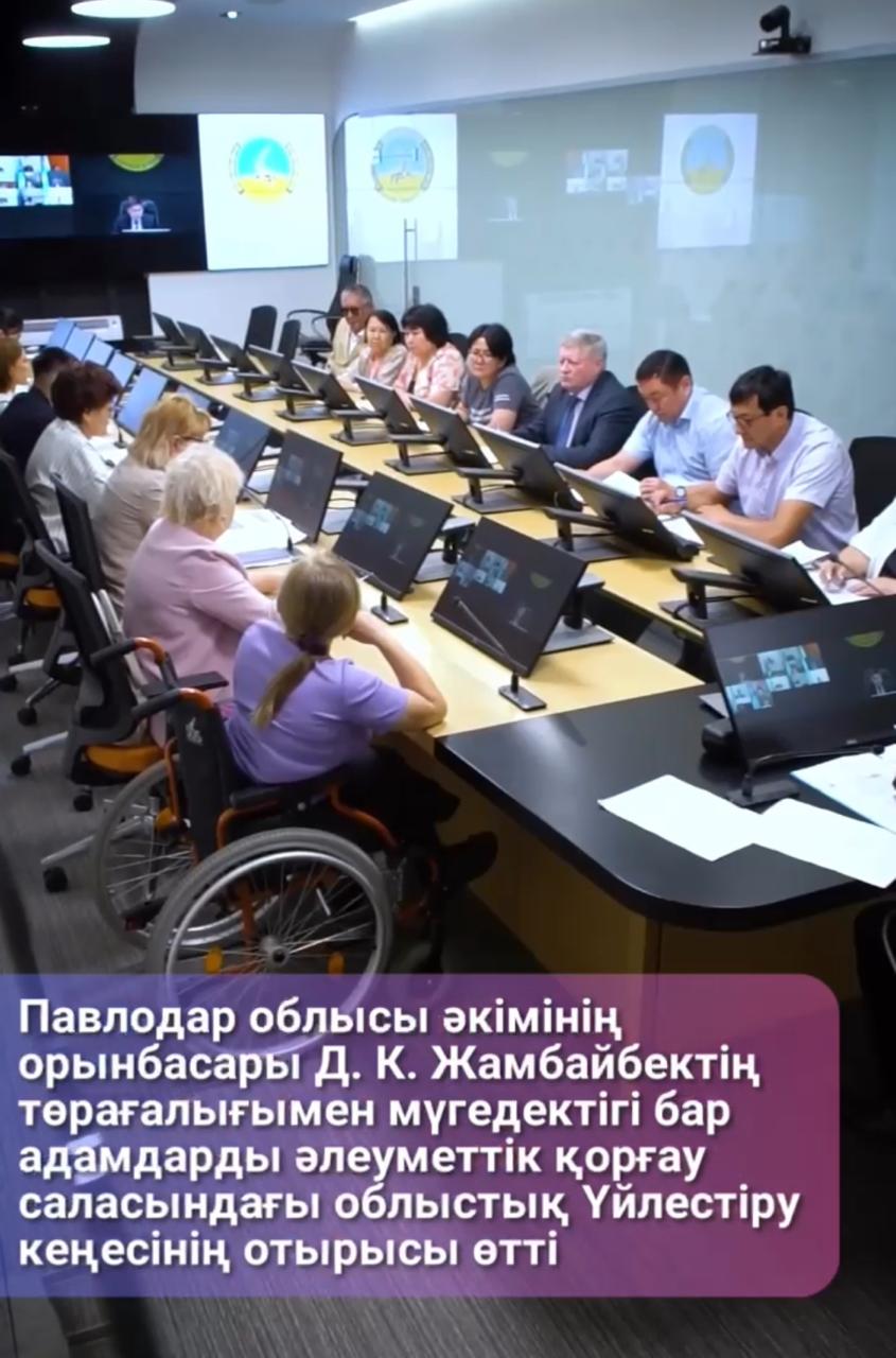 Заседание областного Координационного совет в области социальной защиты лиц с инвалидностью