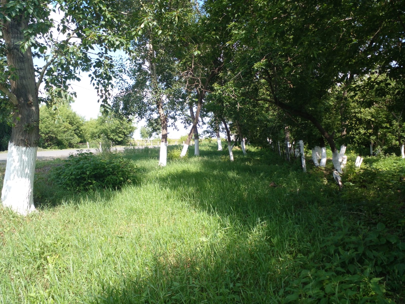 «Таза Қазақстан» экологиялық бағдарламасы аясында Костряков ауылында абаттандыру жұмыстары жалғасуда.