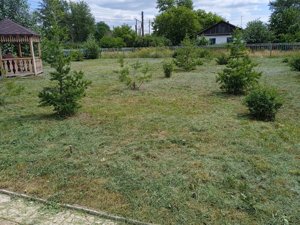 «Таза Казақстан»