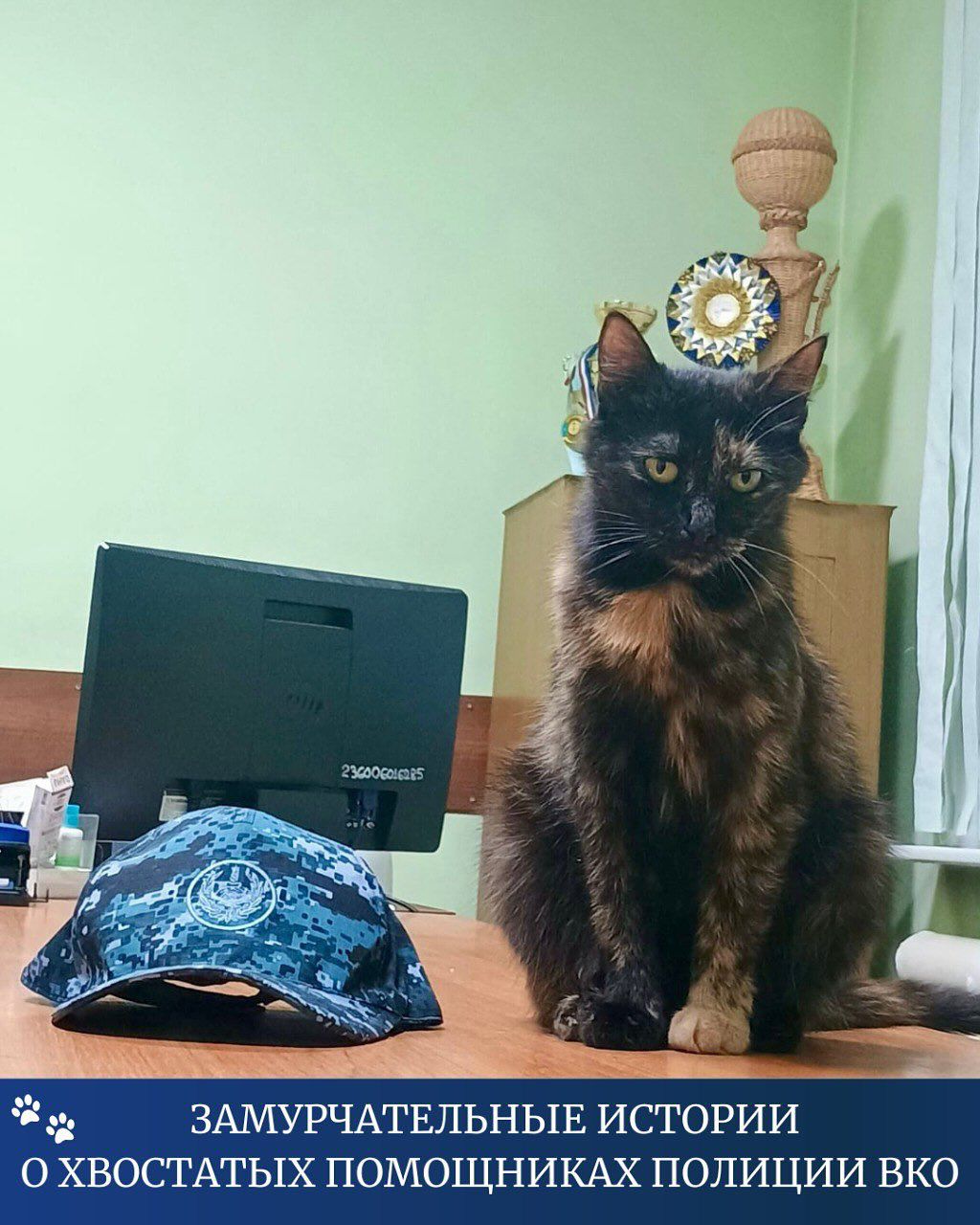 Төрт аяқты әріптестер: ШҚО полициясындағы ерекше көмекшілер
