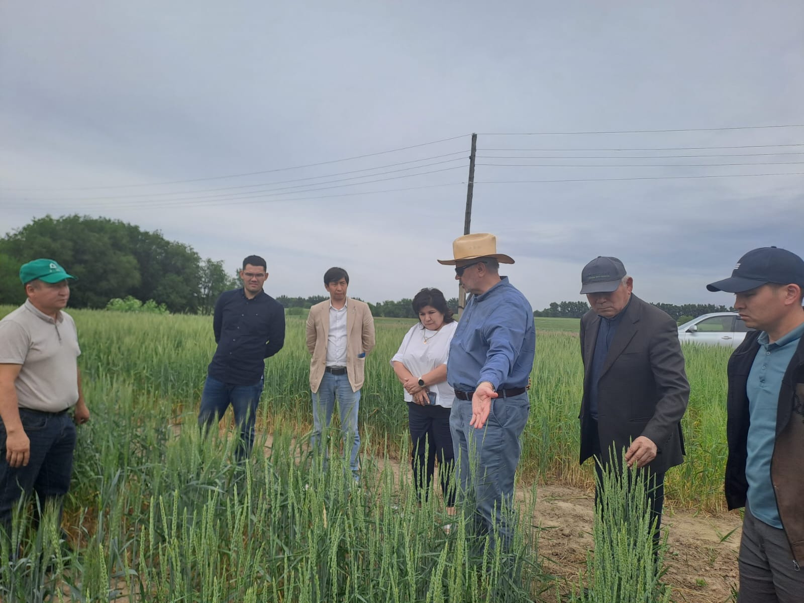 Қазақ егіншілік және өсімдік шаруашылығы ҒЗИ мен БҰҰ Даму бағдарламасы жер тозуымен күресте күш біріктіреді