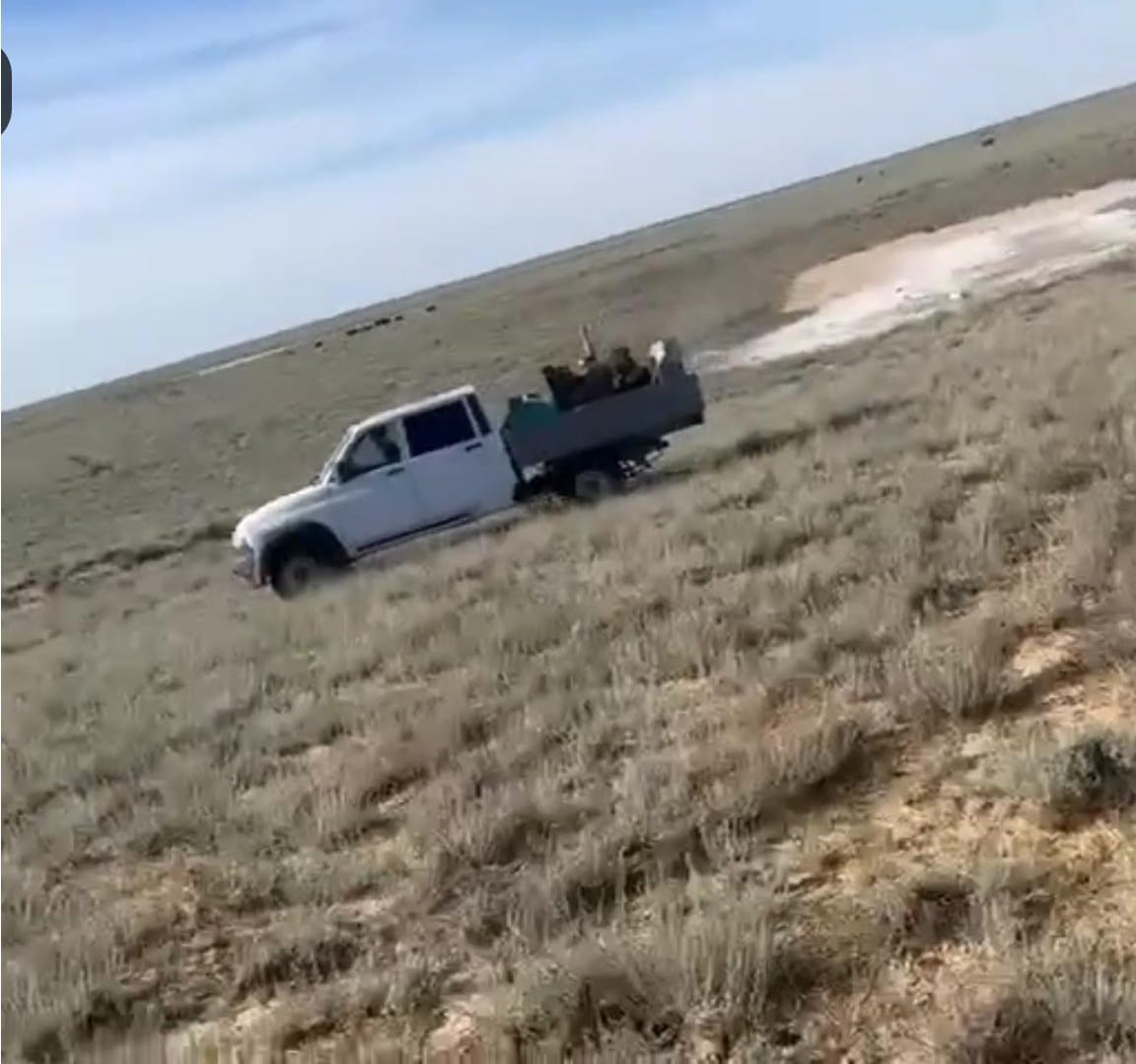 Шегірткені улау жұмыстары жалғасуда