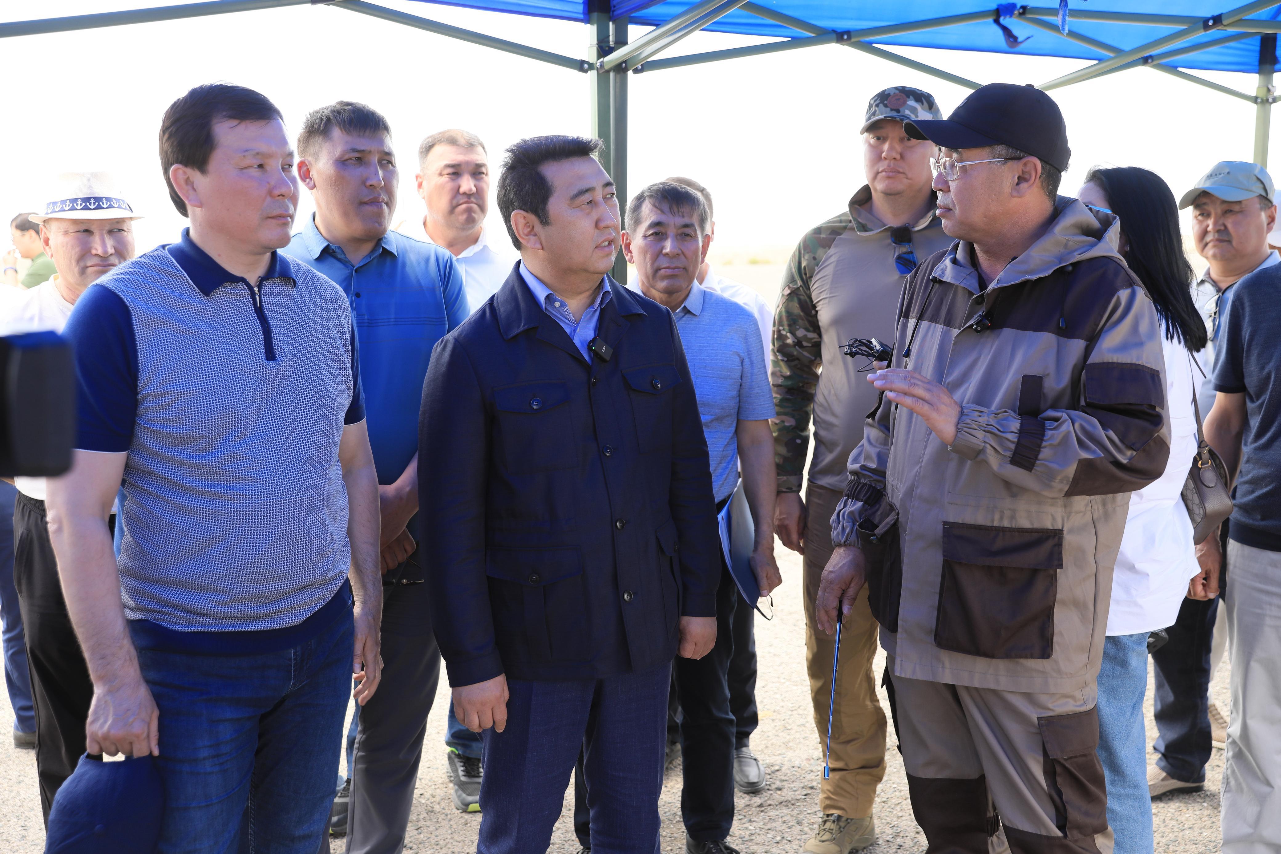 Шегірткеге қарсы күрес: Ақтөбе облысындағы жағдайды 850 маман бақылайды