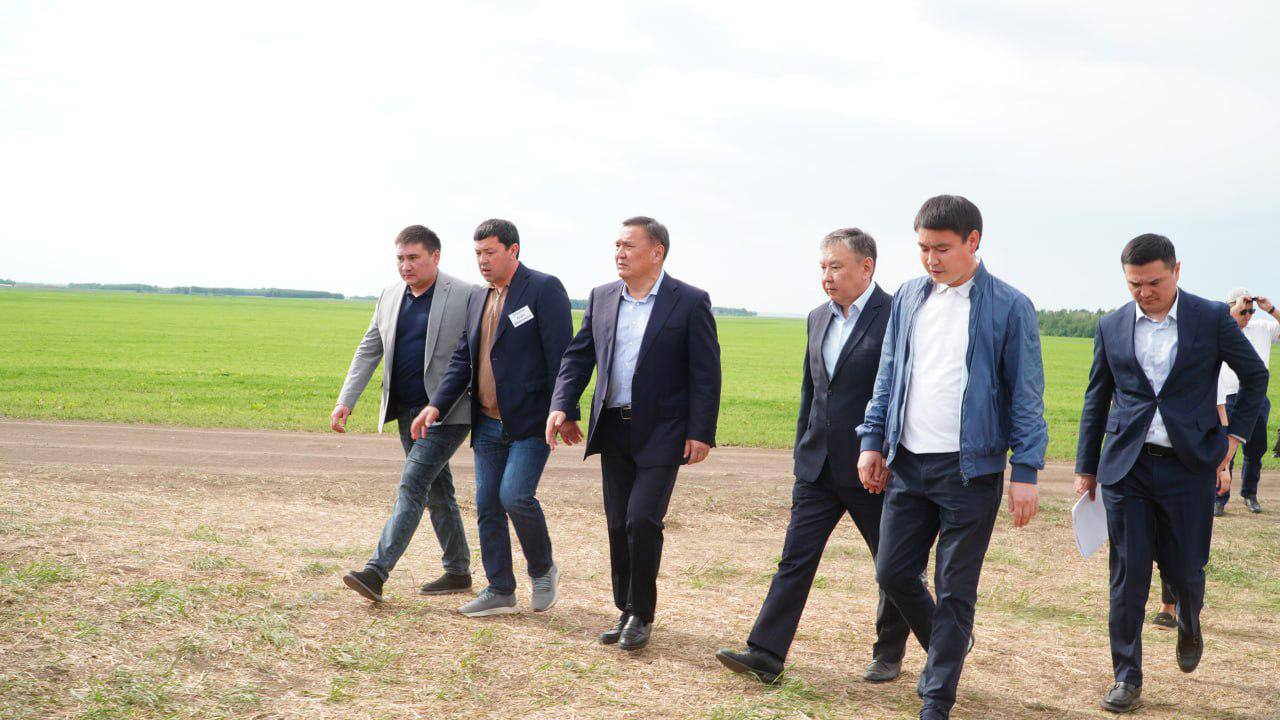 Akmola Region has completed the sowing campaign