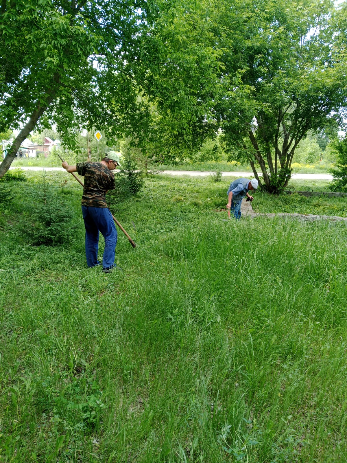 Верхнеберезовка ауылдық округінде шөп шабу маусымы басталды