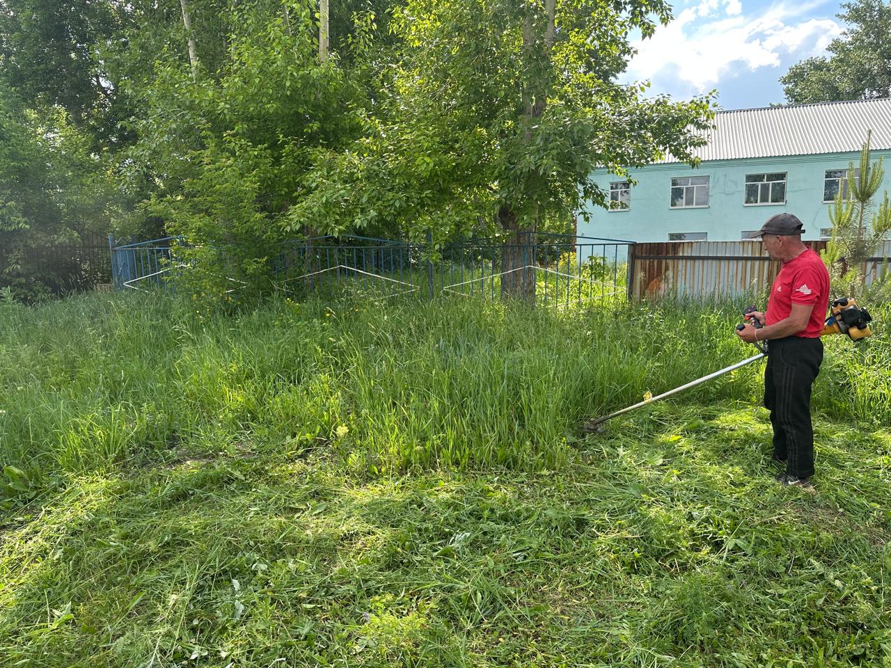 Алтайский ауылы. "Алтай" саябағында шөп шабу