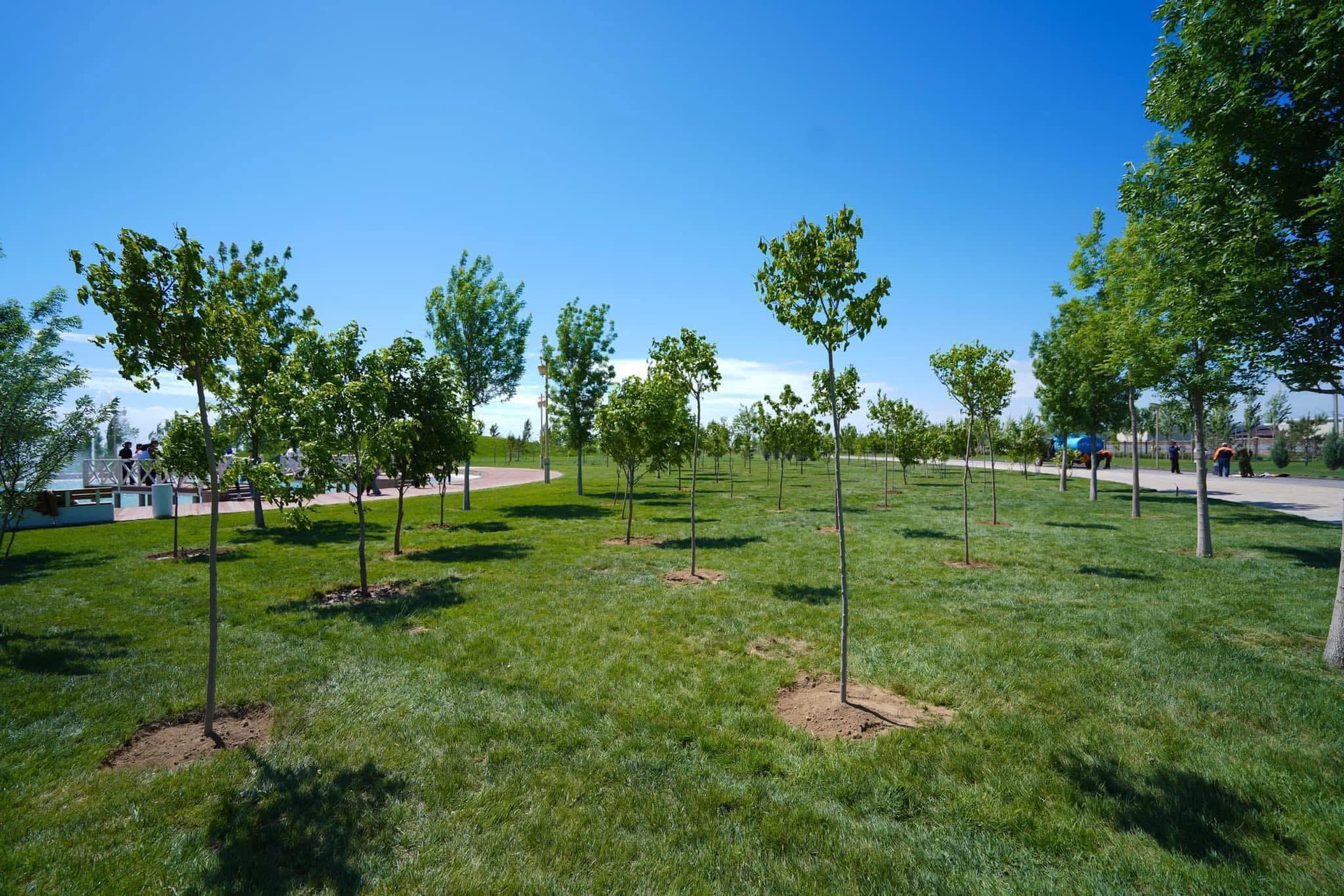 ТҮРКІСТАН ОБЛЫСЫНДА КӨГАЛДАНДЫРУ ЖӘНЕ ҚОҚЫС ПОЛИГОНДАРЫН РЕТТЕУ ЖҰМЫСТАРЫ ҚАТАҢ БАҚЫЛАУДА