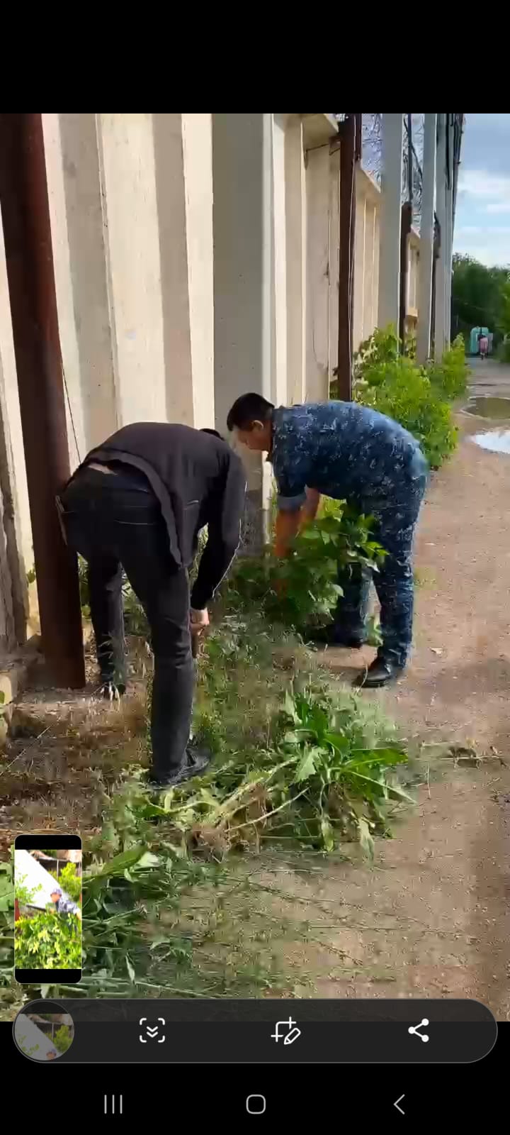 Таза Қазақстан: тазалық пен тәртіпке жауапкершілік