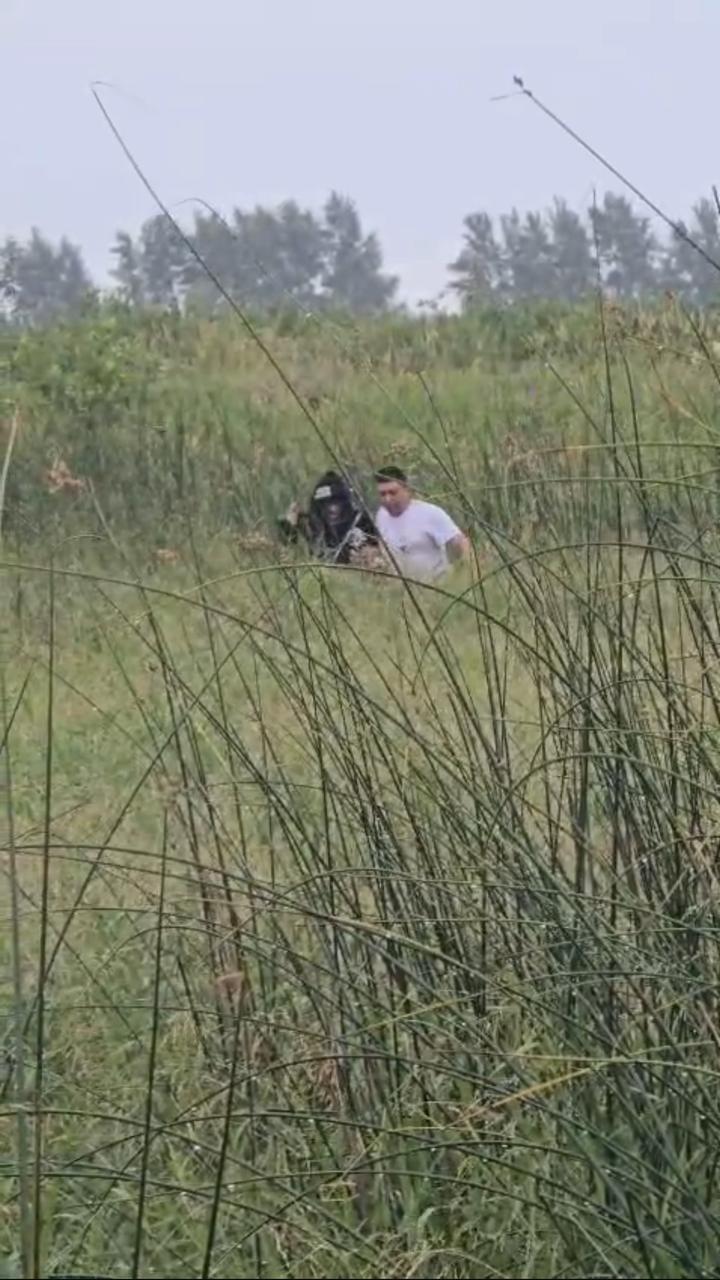 СКО-да батпаққа түсіп кеткен қызды полицейлер құтқарды